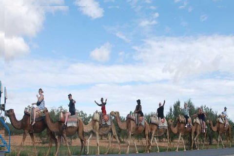 Hammamet: Camel Ride, Lunch, and Quad Biking Tour
