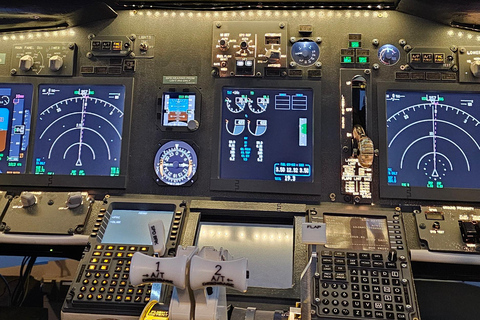 Simulateur de vol Boeing B737 Aéroport de FrancfortSimulateur B737