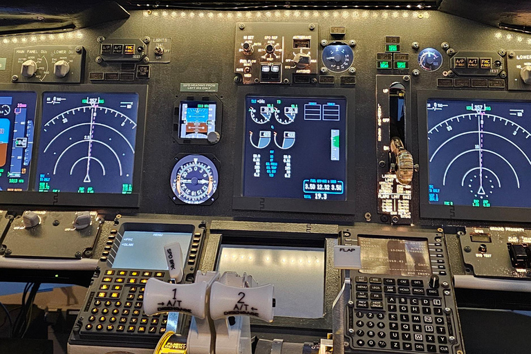 Simulador de voo Boeing B737 Aeroporto de FrankfurtSimulador de B737