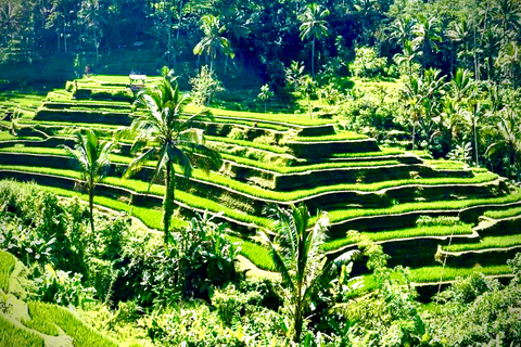 Bali: Kanto Lampo Waterfall Guided Photo Tour with Transfer Kanto Lampo Waterfall Tour with Transfer