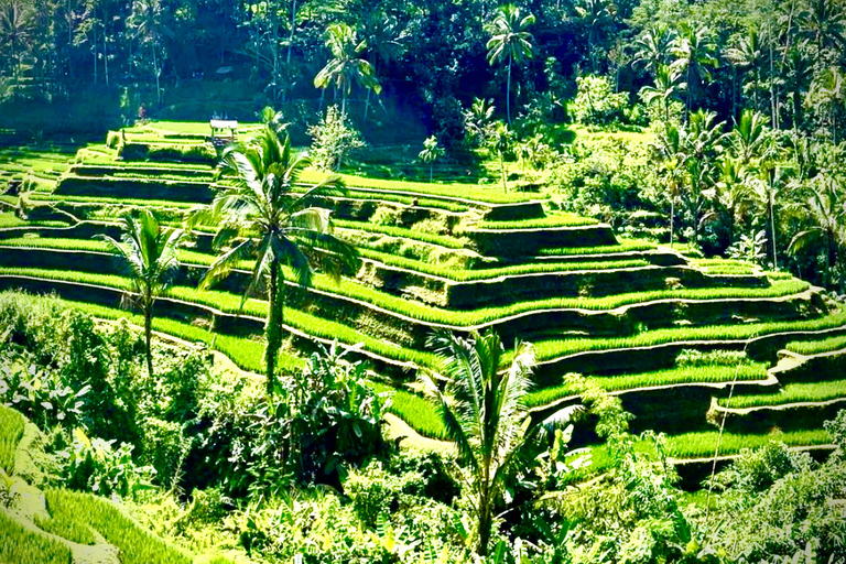 Bali: Kanto Lampo-waterval begeleide fototour met transferKanto Lampo-watervaltour met transfer