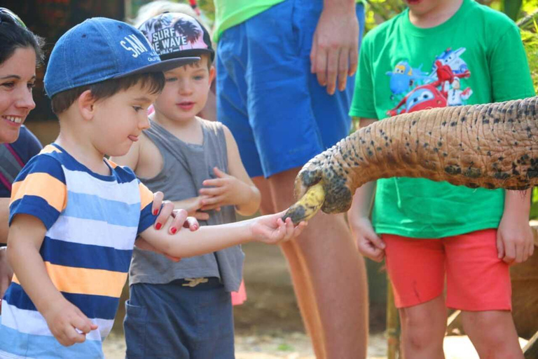 Khao Lak: Rafting, bagno con gli elefanti e tour del centro per le tartarughe marineTour privato