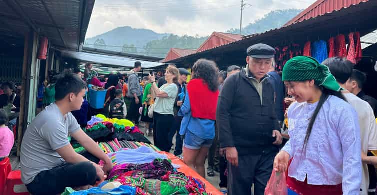 Galería de fotos para redes