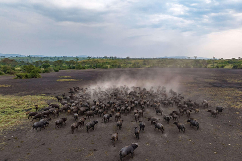 Entebbe : Safari de luxe dans le parc national Queen Elizabeth