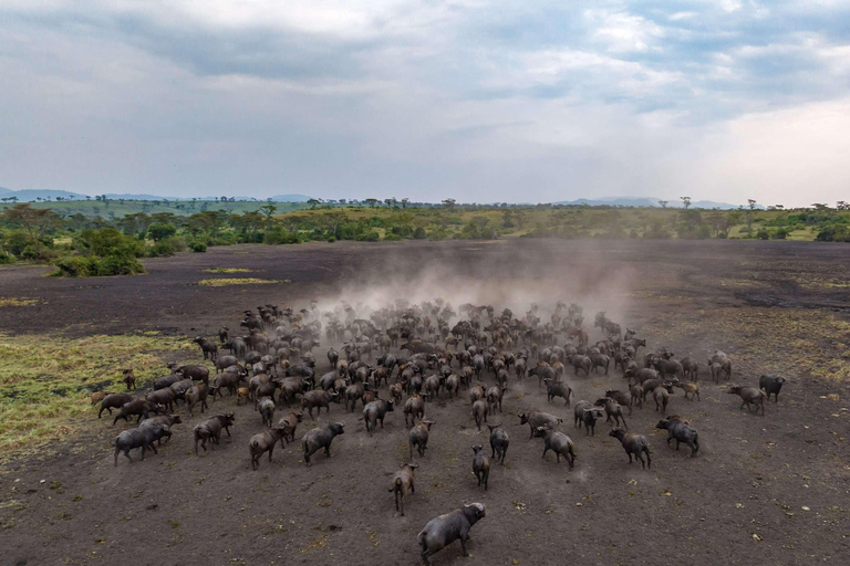 Entebbe : Safari de luxe dans le parc national Queen Elizabeth