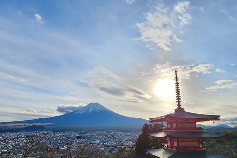 Mount Fuji Highlights Private Tour with Professional Guide Tokyo: Private tour to Meiji Shrine, and Mt. Tsukuba Guided