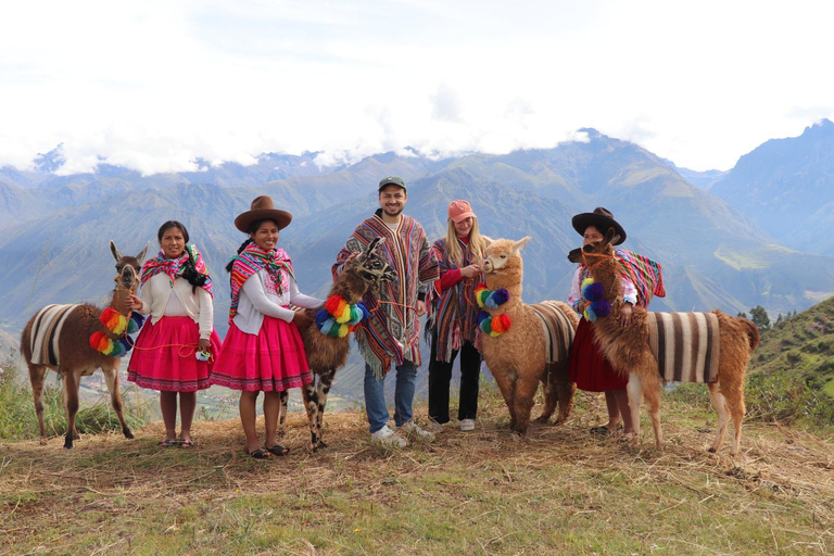 From Cusco: Sacred Valley Llama Walk & Local Family Visit