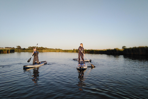 Rügen: Early Bird Standup Paddletour to Fishing Harbours
