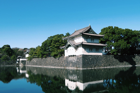 Tour panoramico privato di Tokyo con autista parlante inglese