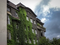 Katowice, Express Walk con un locale in 60 minuti - Hizvo