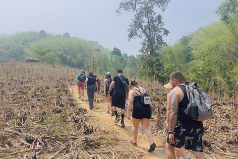 Chiang Rai: The Adventure of Trekking & Bamboo Cooking