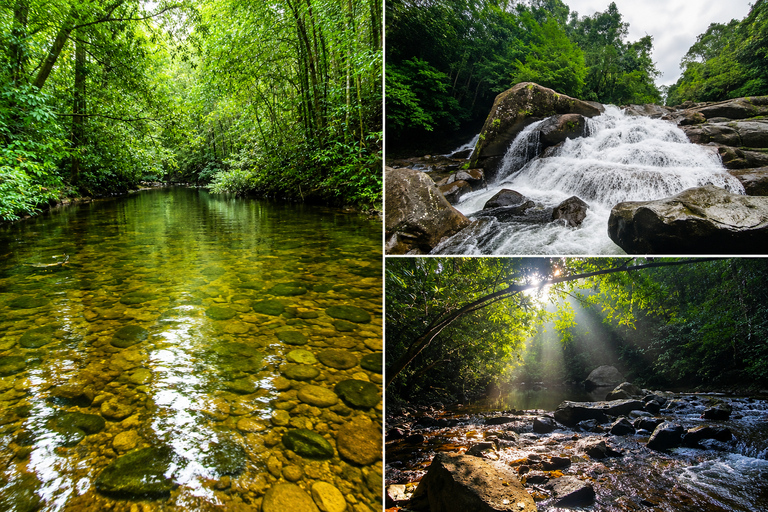Colombo: 2-Day Private Kanneliya Rainforest & Galle Tour