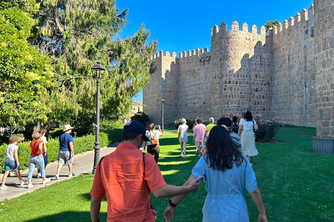 From Madrid: Toledo, Segovia, and Ávila Full Day Guided Tour