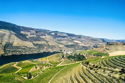 Ab Porto: Douro-Tal mit Bootstour, Weinverkostung und EssenTour auf Französisch mit Hotelabholung
