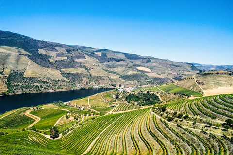 Ab Porto: Douro-Tal mit Bootstour, Weinverkostung und EssenTour auf Französisch mit Hotelabholung