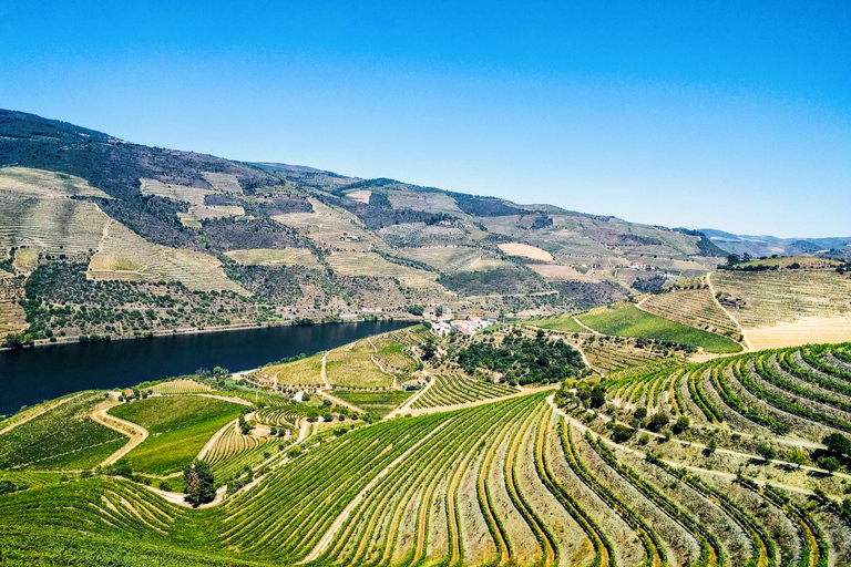 Z Porto: Dolina Douro z wycieczką łodzią, degustacją wina i lunchemWycieczka w języku francuskim z odbiorem z hotelu