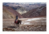Family Langtang Valley Horseback Riding Trek - Housity