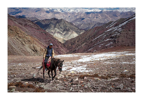 Family Langtang Valley Horseback Riding Trek