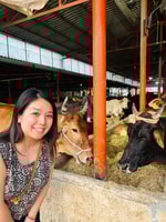 Sperimenta la vera India, una volta nella vita del villaggio - Housity