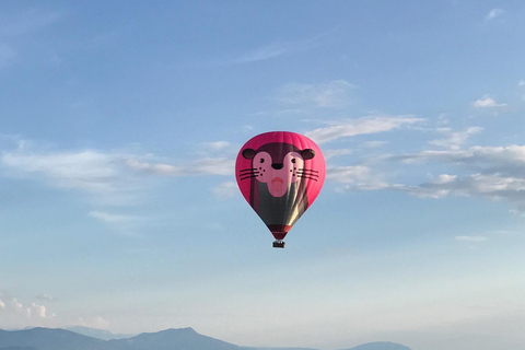 Luchtballonvaart in ZwitserlandSwitzerland hot air balloon flight