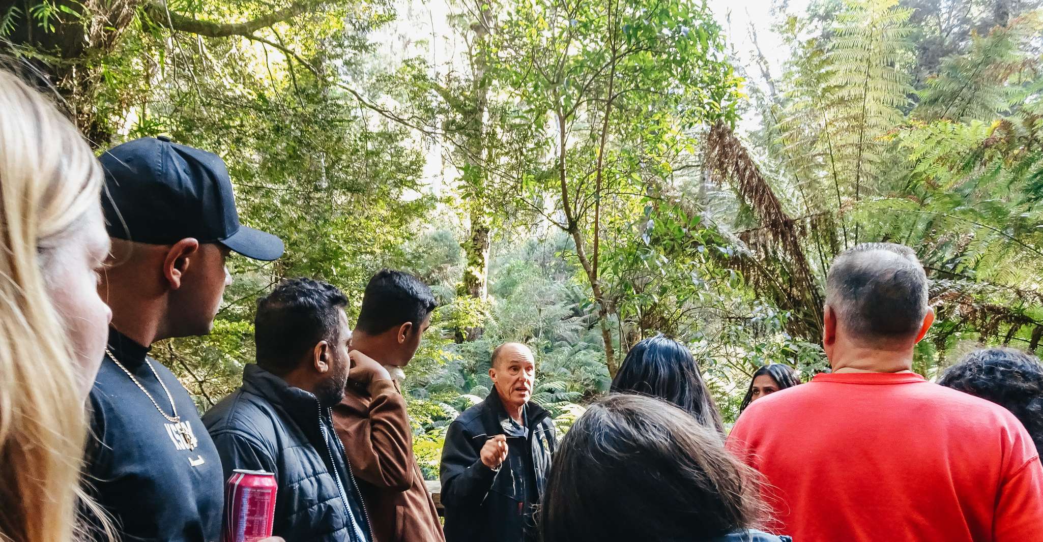From Melbourne: Great Ocean Road, 12 Apostles, Wildlife Tour photo 6