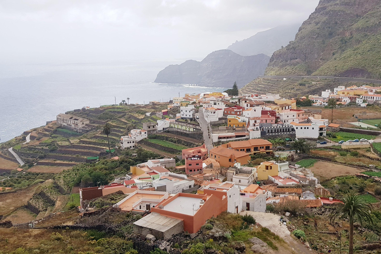 Desde el Sur de tenerife : La Gomera full day trip