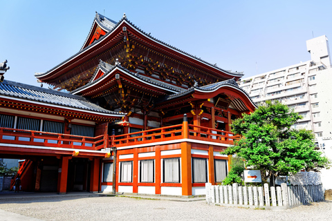 Osaka: Nagoya Day Trip with Nagoya Castle & Toyota Museum Shared Tour, Meet at Tsurutontan Soemoncho