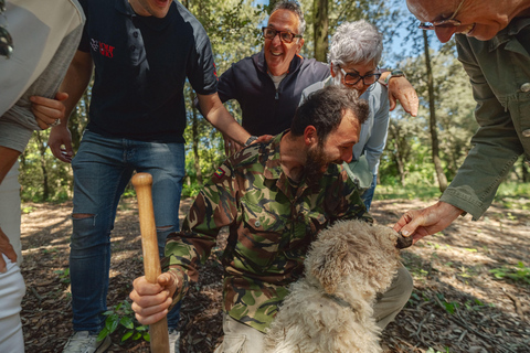 Firenze: caccia al tartufo con pranzo, vino e San GimignanoFirenze: Caccia al tartufo con pranzo, vino e San Gimignano