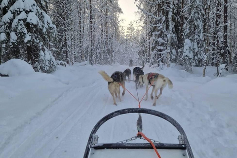 Rovaniemi: Santa Claus Village & Husky Ride Experience