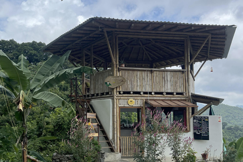 Minca: Coffee Farm and Hidden Waterfall Tour with Lunch