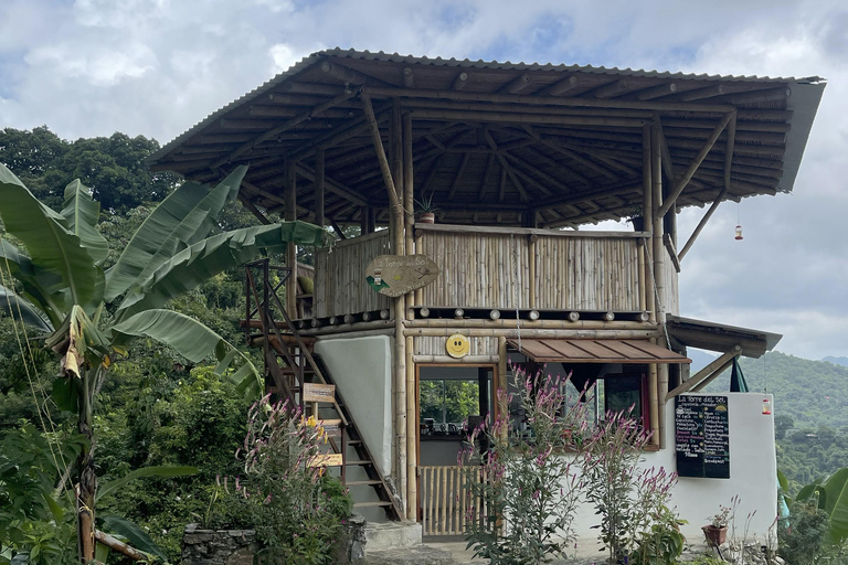 Minca: Coffee Farm and Hidden Waterfall Tour with Lunch