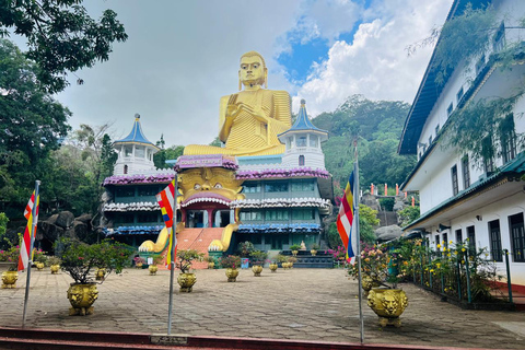 Da Kandy: Tour di Sigiriya con safari in elefante (gruppo)