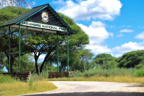 Arusha: Tarangire National Park Day Safari Joining Safari (1-2 People)