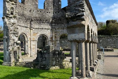 من دبلن: رحلة ليوم واحد إلى نيوجرانج ووادي بويندبلن: رحلة ليوم واحد إلى نيوغرانغ ووادي بوين