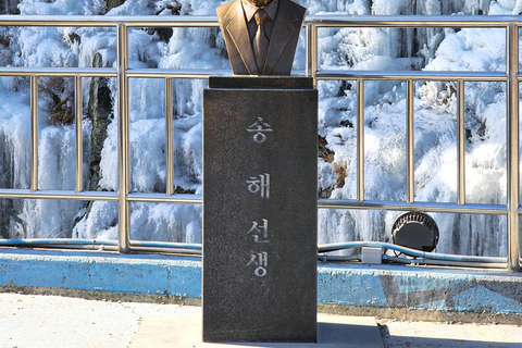 Busan: Winter Healing Park & (Gyeongju/Daegu) One Day Tour Healing Park + DAEGU Tour - Meet at Haeundae Station