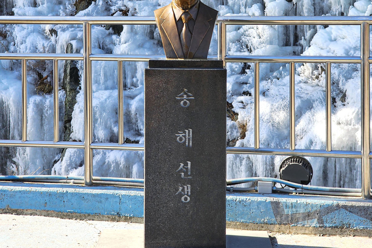 Busan: Winter Healing Park & (Gyeongju/Daegu) One Day Tour Healing Park + DAEGU Tour - Meet at Haeundae Station