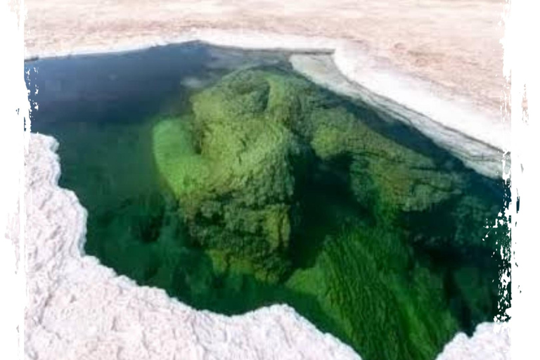 7 Tage Denakil Depressionen und Tigray Kirchen