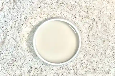 Dégustation de vin de riz avec un sommelier - Les meilleurs Makgeolli (et Soju)