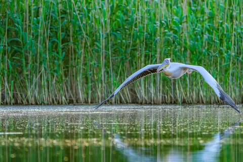 SUPER TOUR: Day Trip to Danube Delta