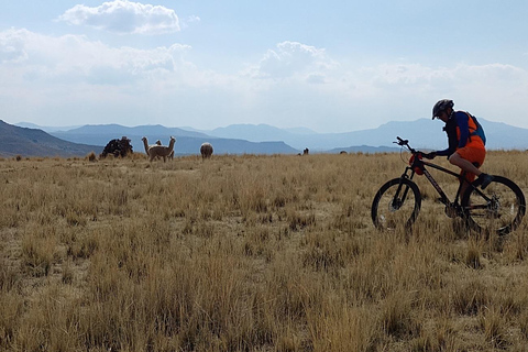 Puno: Sillustani Tombs, Bike Tour - History and Nature