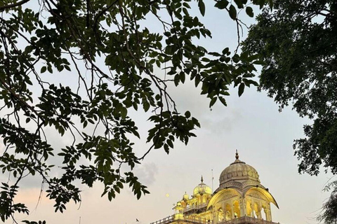 Delhi to Jaipur: Private Full-Day Guided City Highlights Car + Guide + Tickets+ Lunch