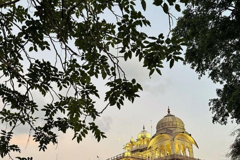 Delhi to Jaipur: Private Full-Day Guided City Highlights Car + Guide + Tickets+ Lunch