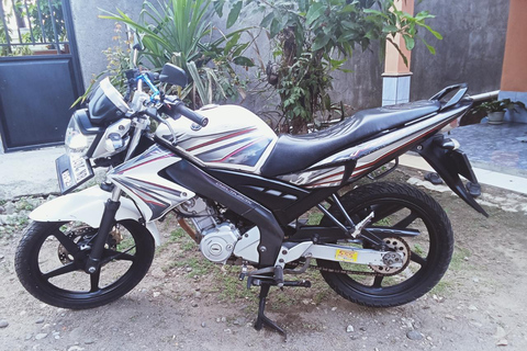 Yogyakarta; Tempio di Borobudur e Prambanan in motocicletta