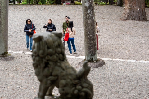 Kanazawa: Shirakawa-go privé-dagtour met lunch