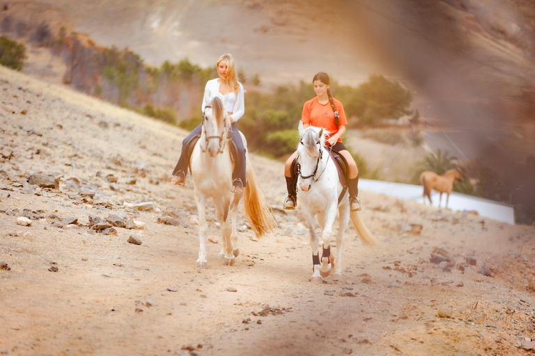 Isla de Porto Santo: Paseos a caballo180 min Aventura