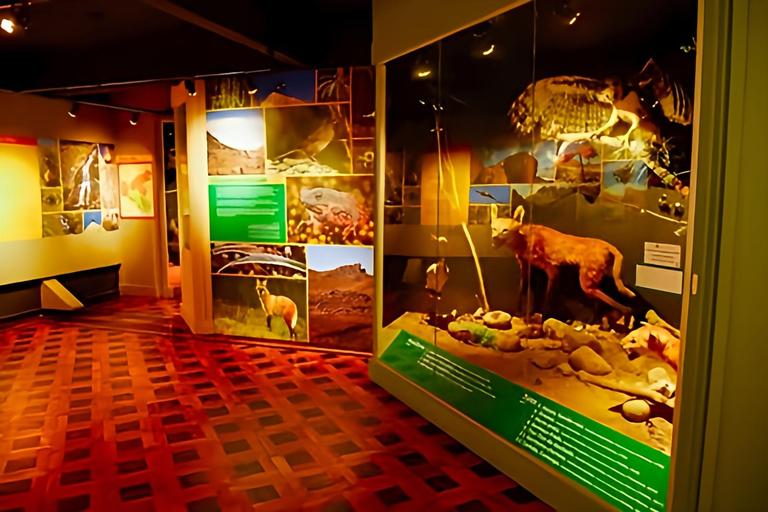 Rio de Janeiro ou São Paulo : circuit de 3 jours dans le parc national d'Itatiaia