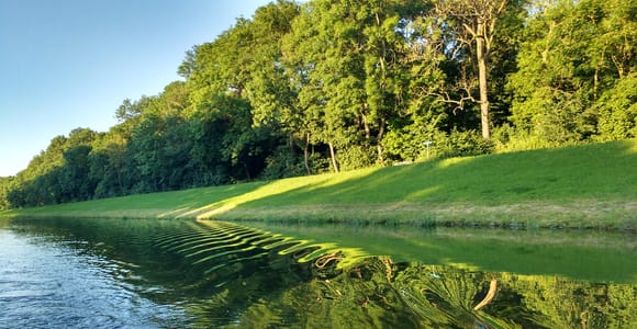 Leipzig: 2-stündige Auwald-Motorboottour