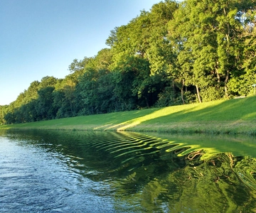 Leipzig: 2-hour Auwald Motorboat Tour