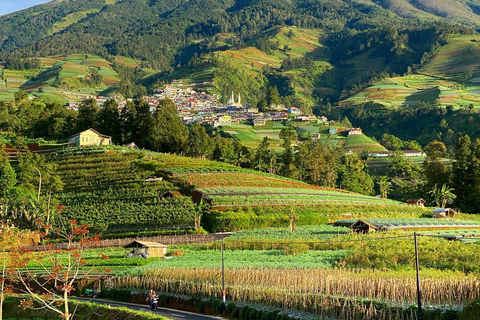 Yogyakarta : Nepal Van java &amp; Cascata di Kedung Kayangopzione alba
