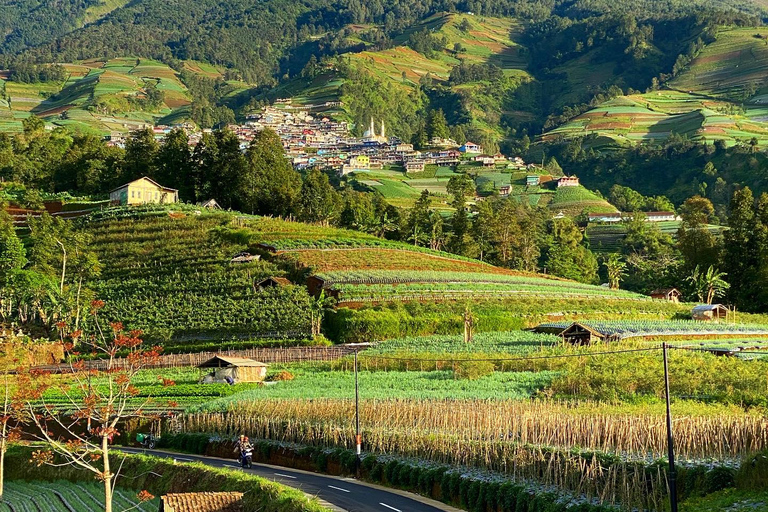 Yogyakarta : Nepal Van java &amp; Cascata di Kedung Kayangopzione alba